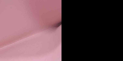 AUCTION $2350 Louis Vuitton  Monogram Valentine Dog Pochette Felicie Card holder insert