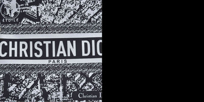 NEW CHRISTIAN DIOR Plan De Paris Map Makeup Bag Novelty GWP Pouch Clutch