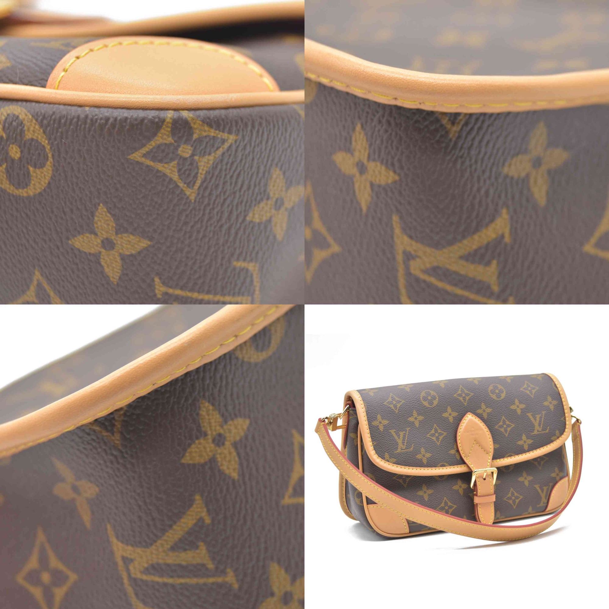 Louis Vuitton  Monogram Diane Fuchsia RFID