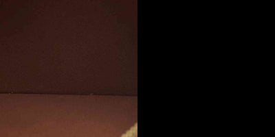 $2940 Louis Vuitton  Empreinte Monogram Giant Neverfull MM Pochette Cognac