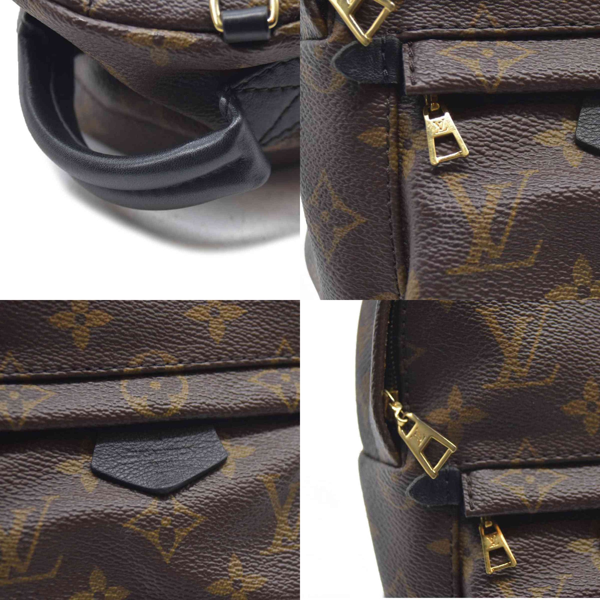 Louis Vuitton  Monogram Palm Springs Backpack Mini