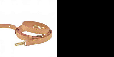 Louis Vuitton Monogram LV By the Pool Nano Diane Coral