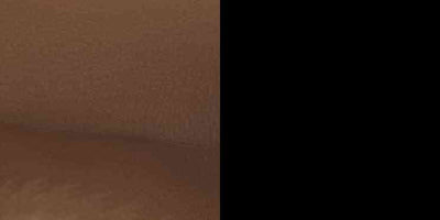 Louis Vuitton  Monogram Nice BB PL2199