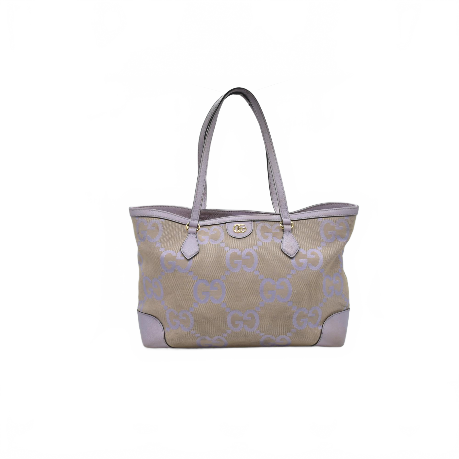 Gucci Double G Ophidia Medium