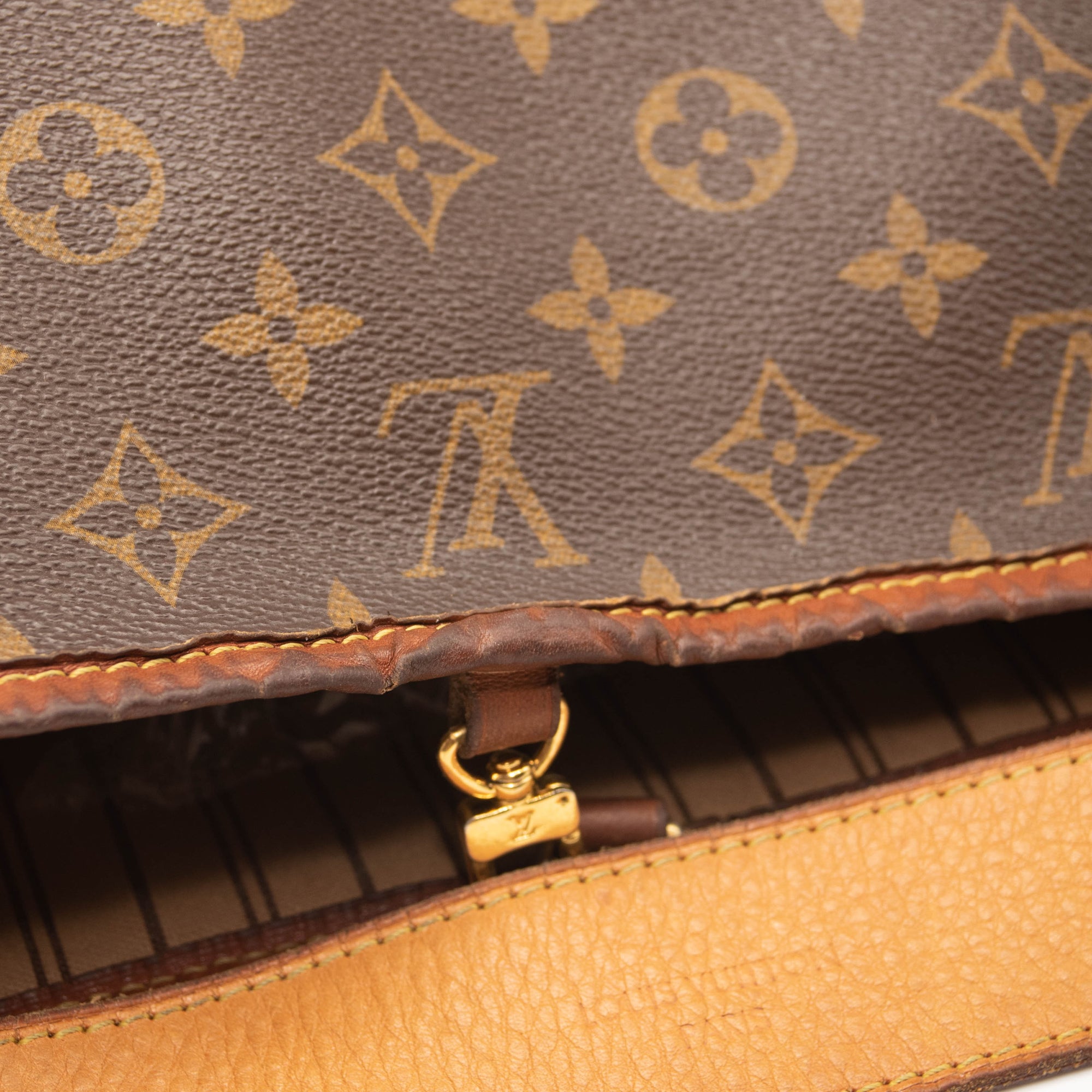 Louis Vuitton Delightful PM Monogram Hobo