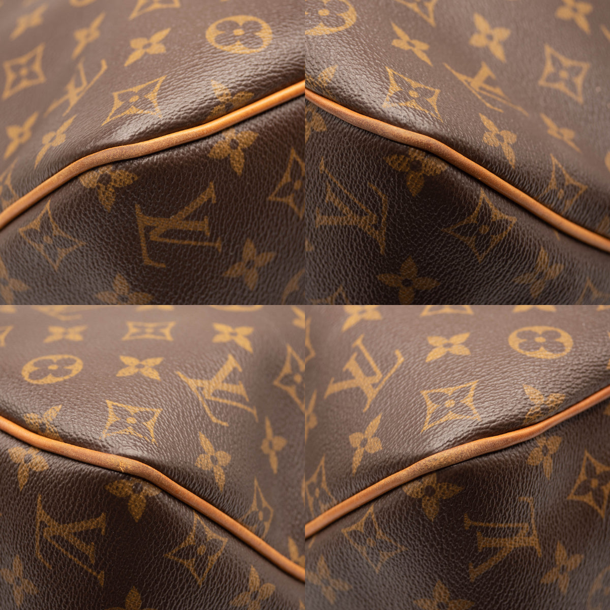 Louis Vuitton Delightful PM Monogram Hobo