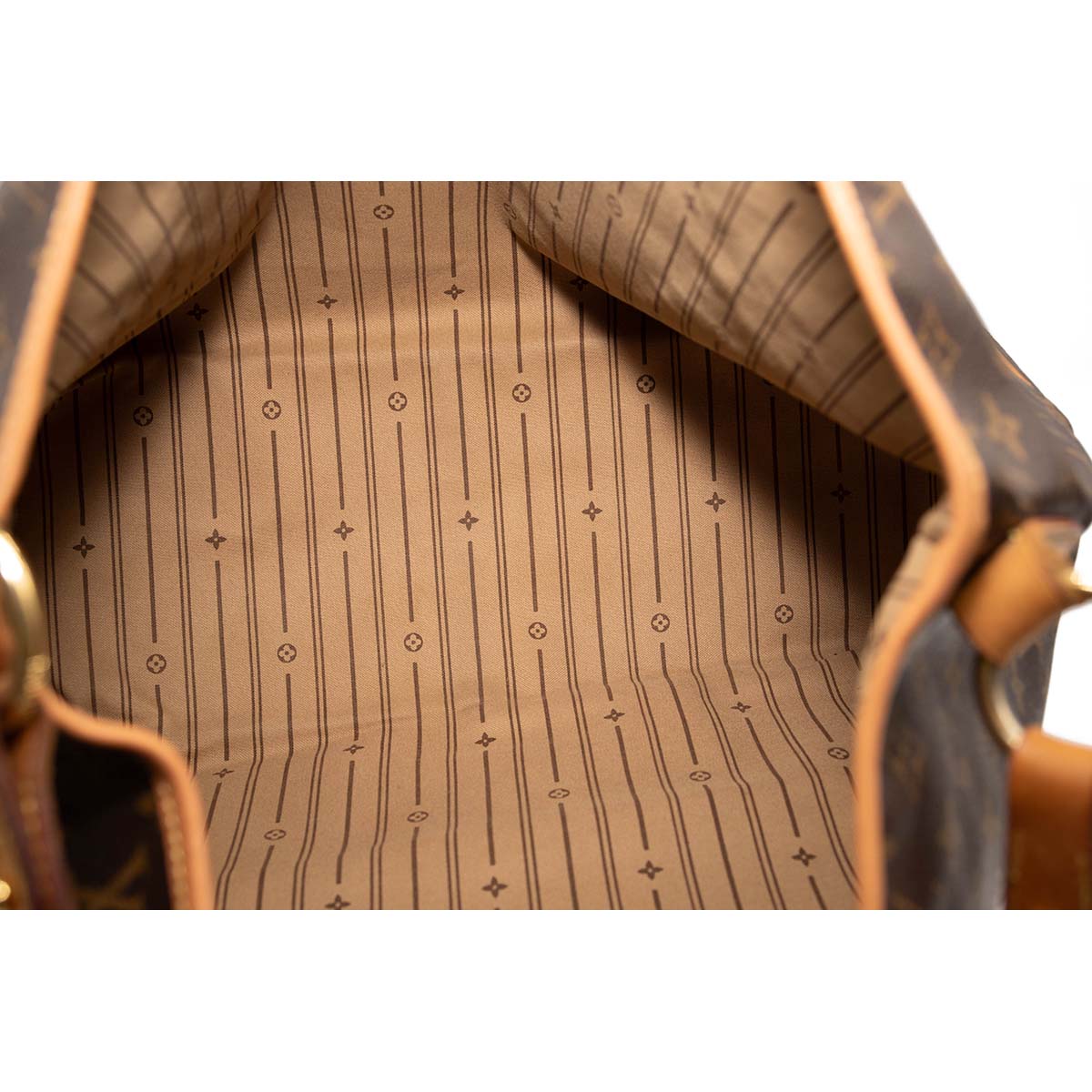 Louis Vuitton Monogram Delightful GM Hobo