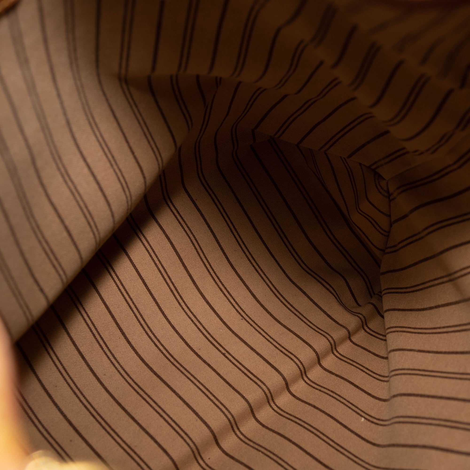 Louis Vuitton Delightful PM Monogram Hobo