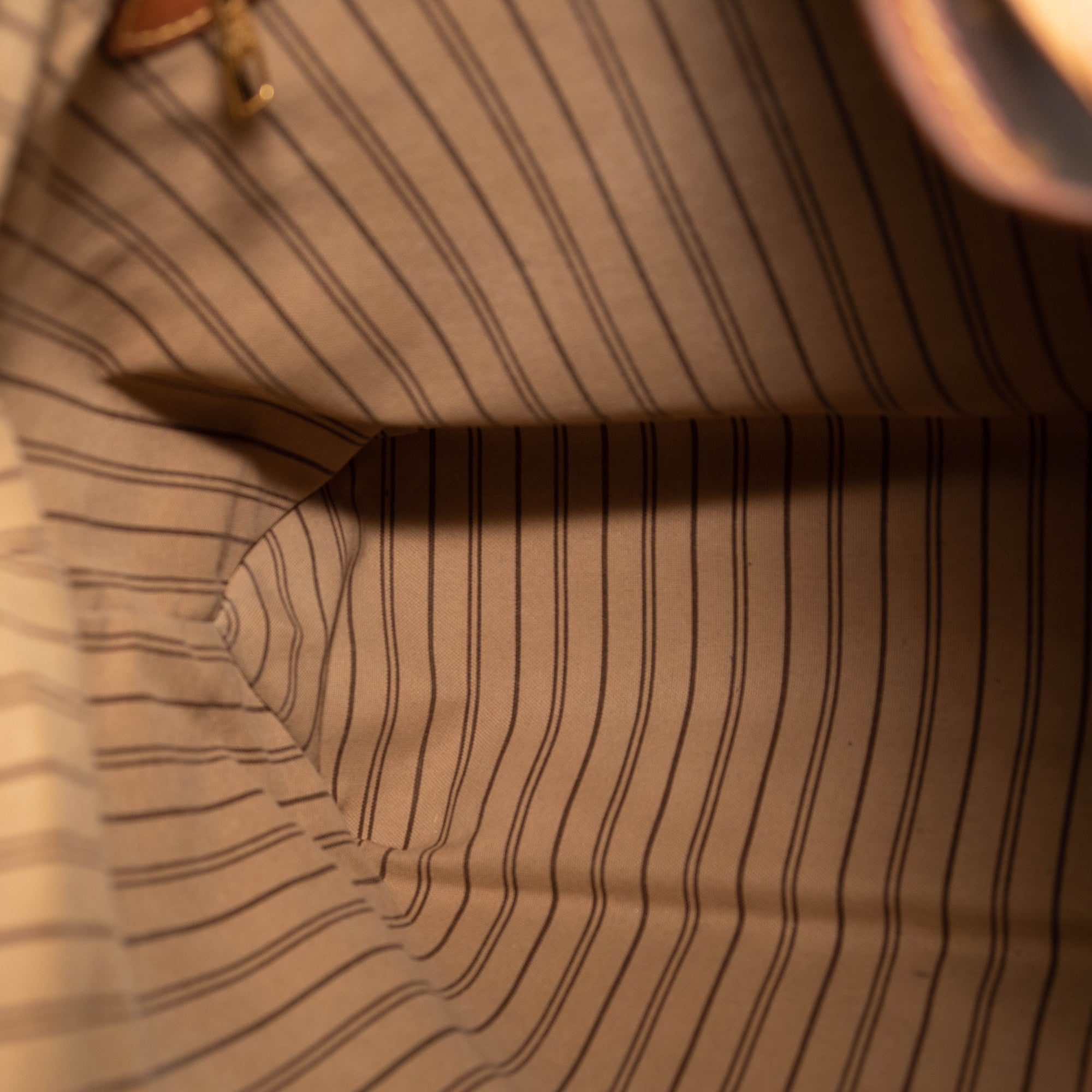 Louis Vuitton Delightful PM Monogram Hobo