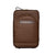 Louis Vuitton Damier Ebene Pegase 55 Rolling Luggage Carry On Suitcase