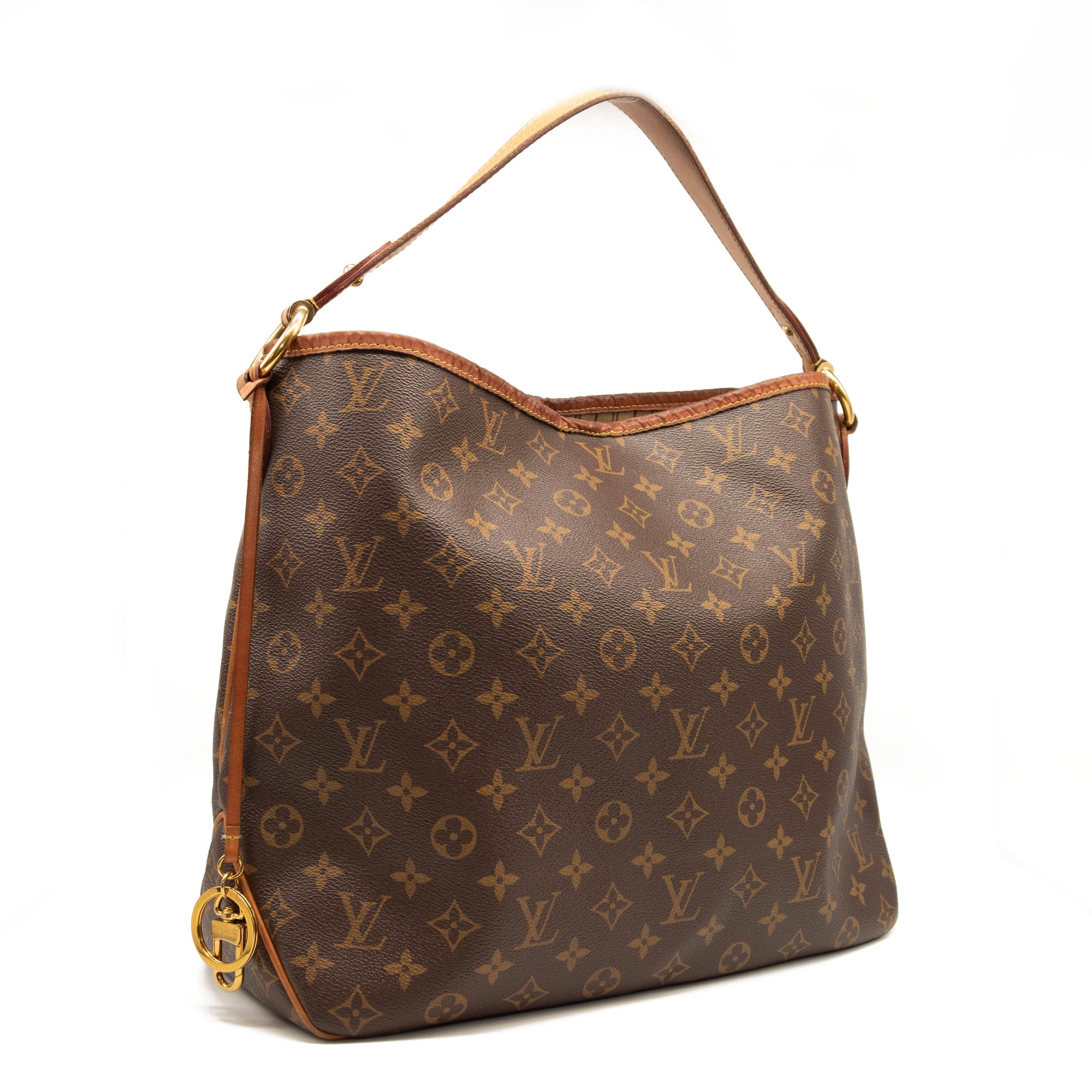 Louis Vuitton Delightful PM Monogram Hobo