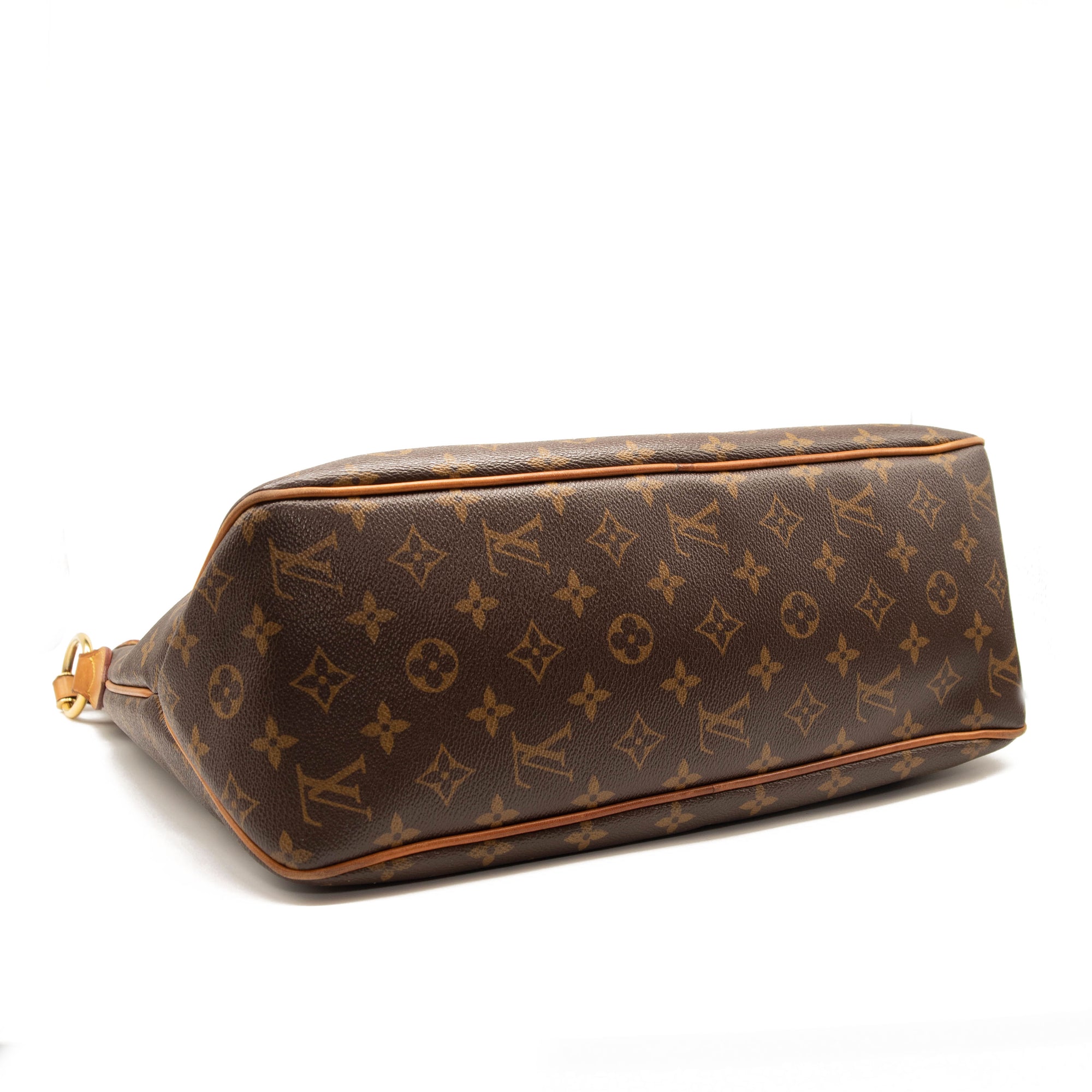 Louis Vuitton Delightful PM Monogram Hobo