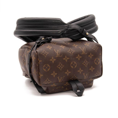 Louis Vuitton Palm Springs Pm Brown Monogram Canvas Backpack