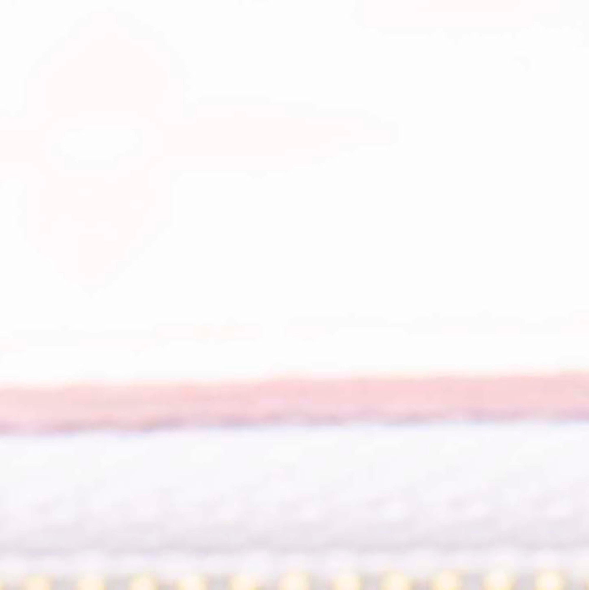 Like New Microchipped Louis Vuitton Monogram Spring In The City Neverfull MM GM Pochette Sunrise Pastel