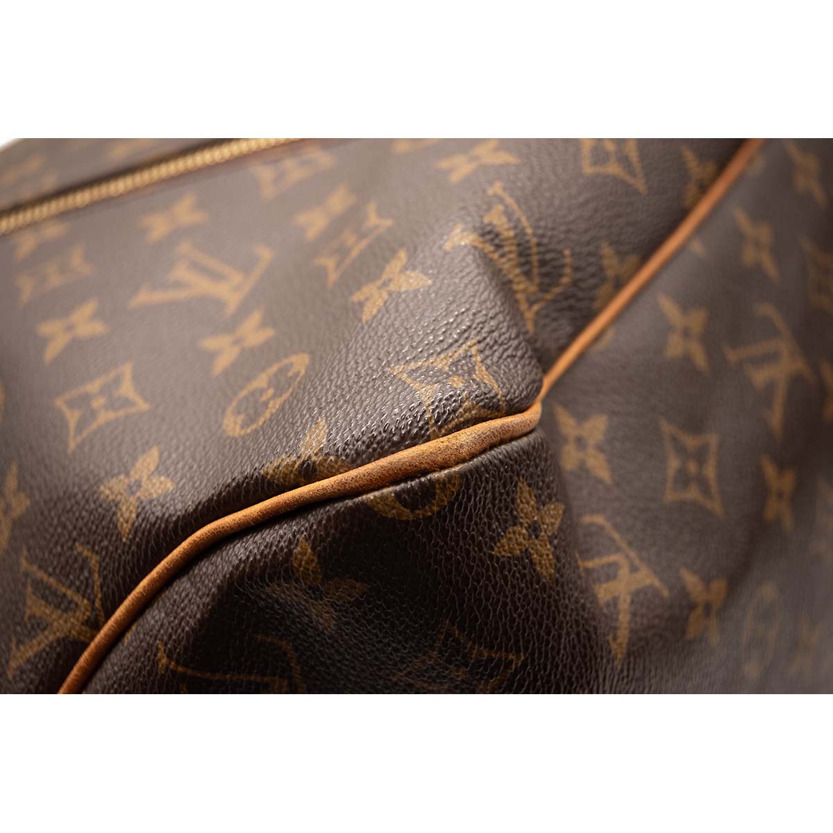 Louis Vuitton Monogram Delightful GM Hobo