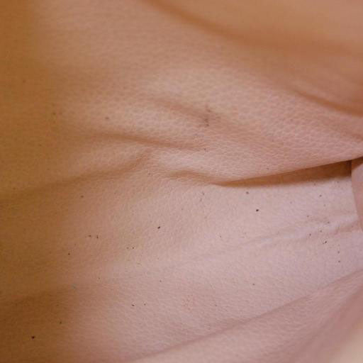 Preorder LOUIS VUITTON Monogram Toiletry Pouch 26