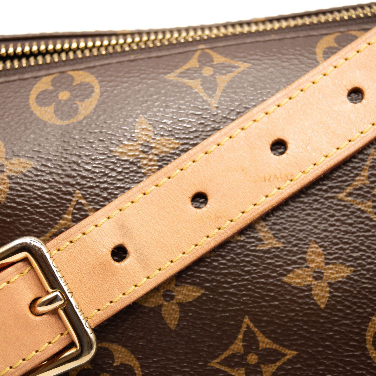 LOUIS VUITTON Monogram Bumbag SA0260