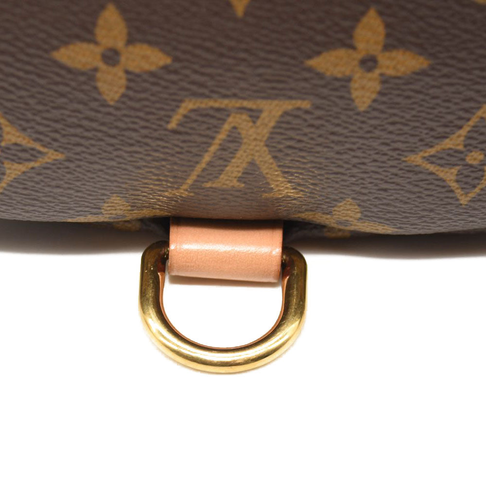 LOUIS VUITTON Monogram Bumbag MICROCHIPPED