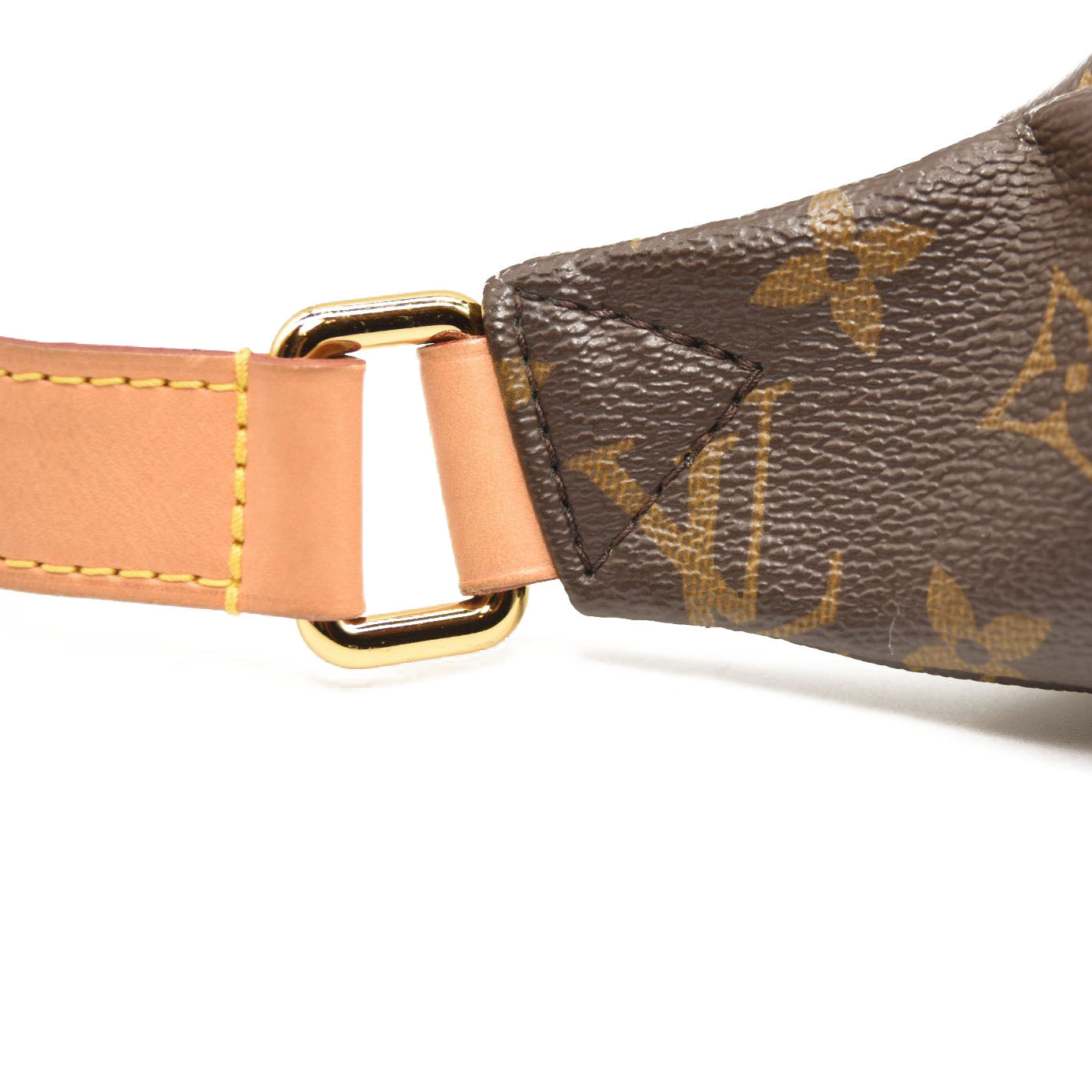 LOUIS VUITTON Monogram Bumbag MICROCHIPPED