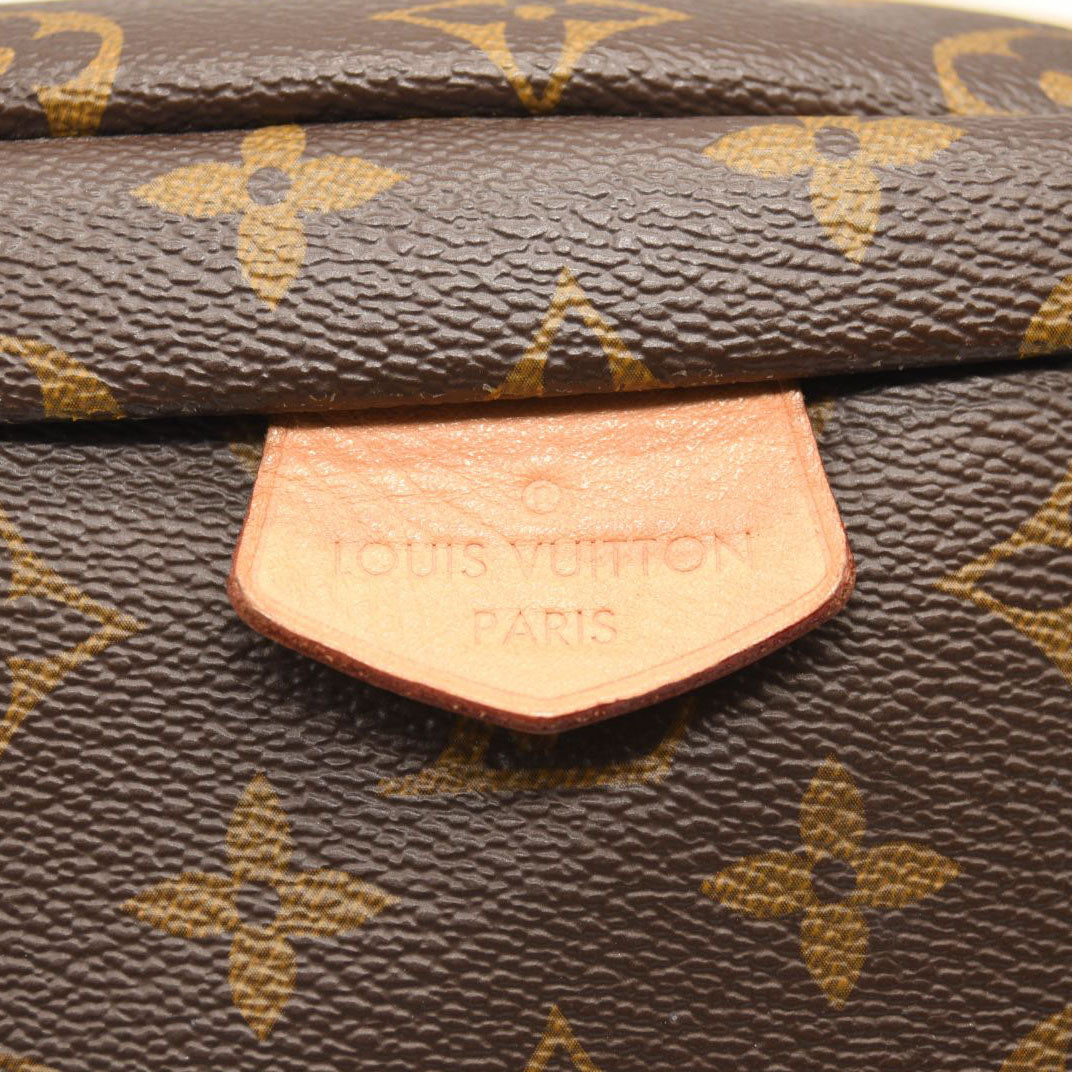 LOUIS VUITTON Monogram Bumbag MICROCHIPPED