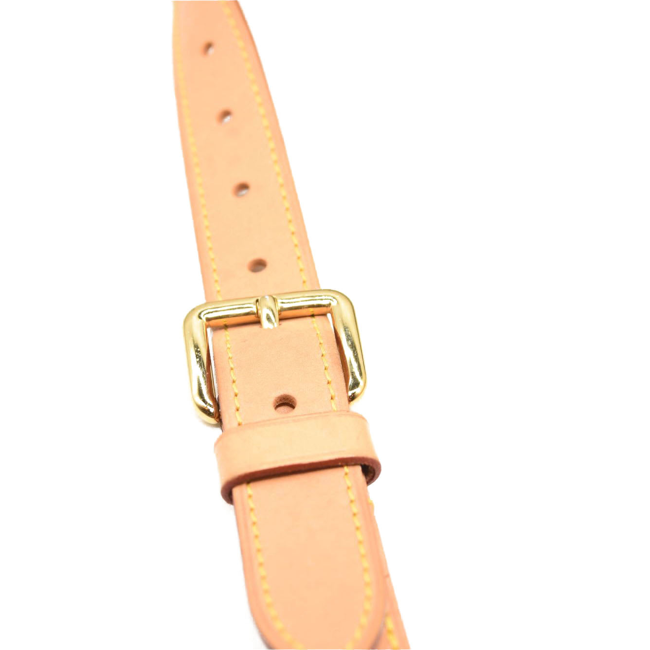 LOUIS VUITTON Monogram Bumbag MICROCHIPPED