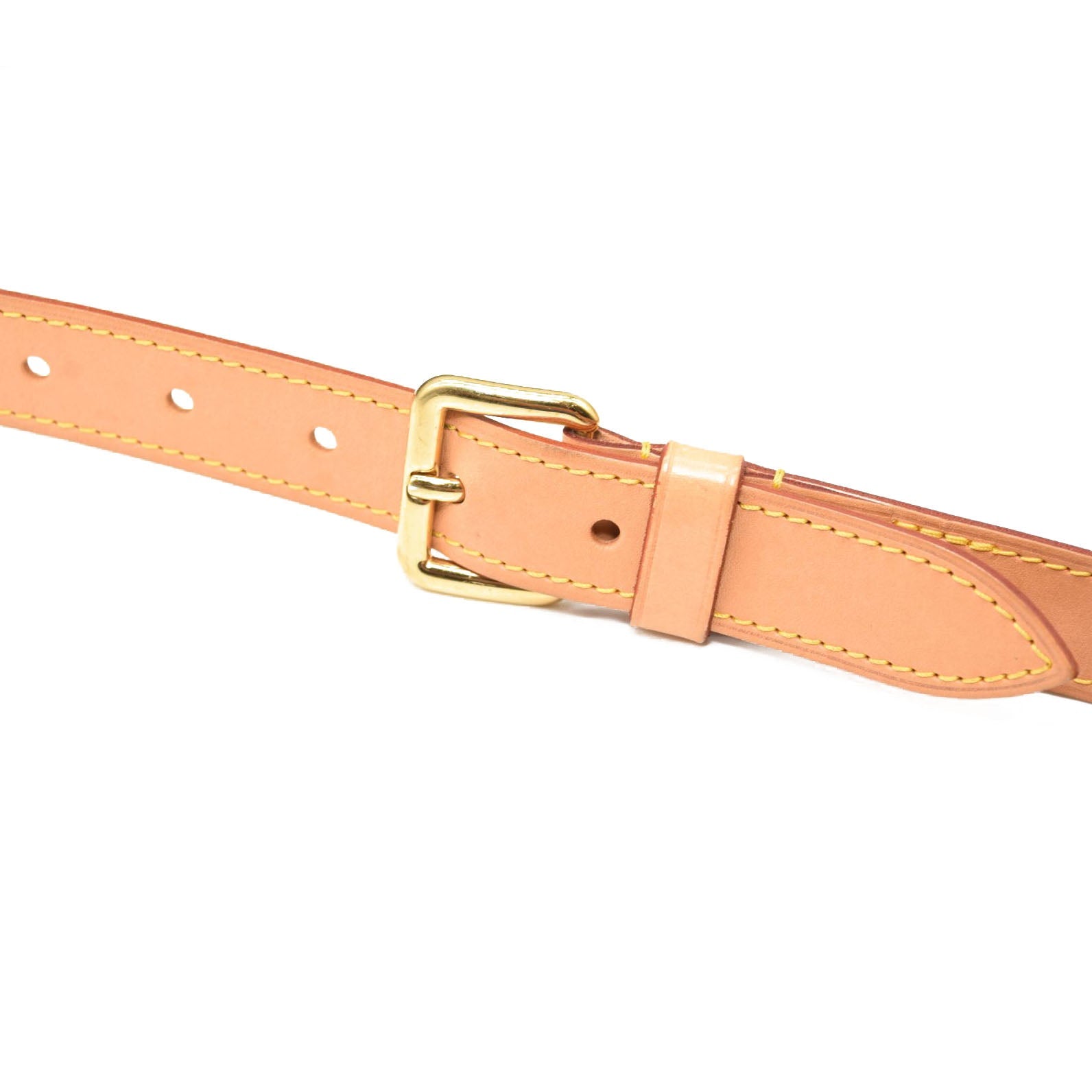 LOUIS VUITTON Monogram Bumbag MICROCHIPPED