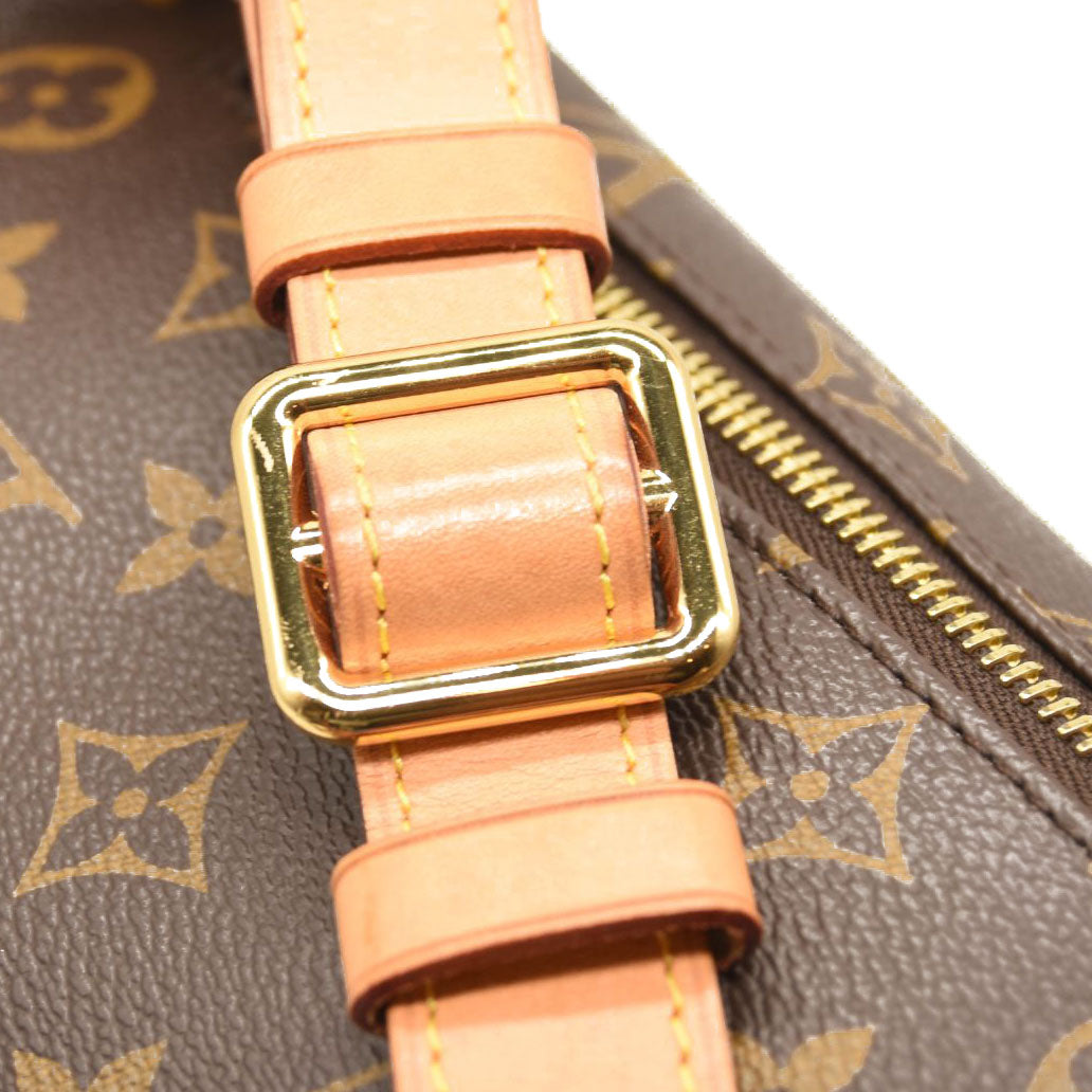 LOUIS VUITTON Monogram Bumbag MICROCHIPPED