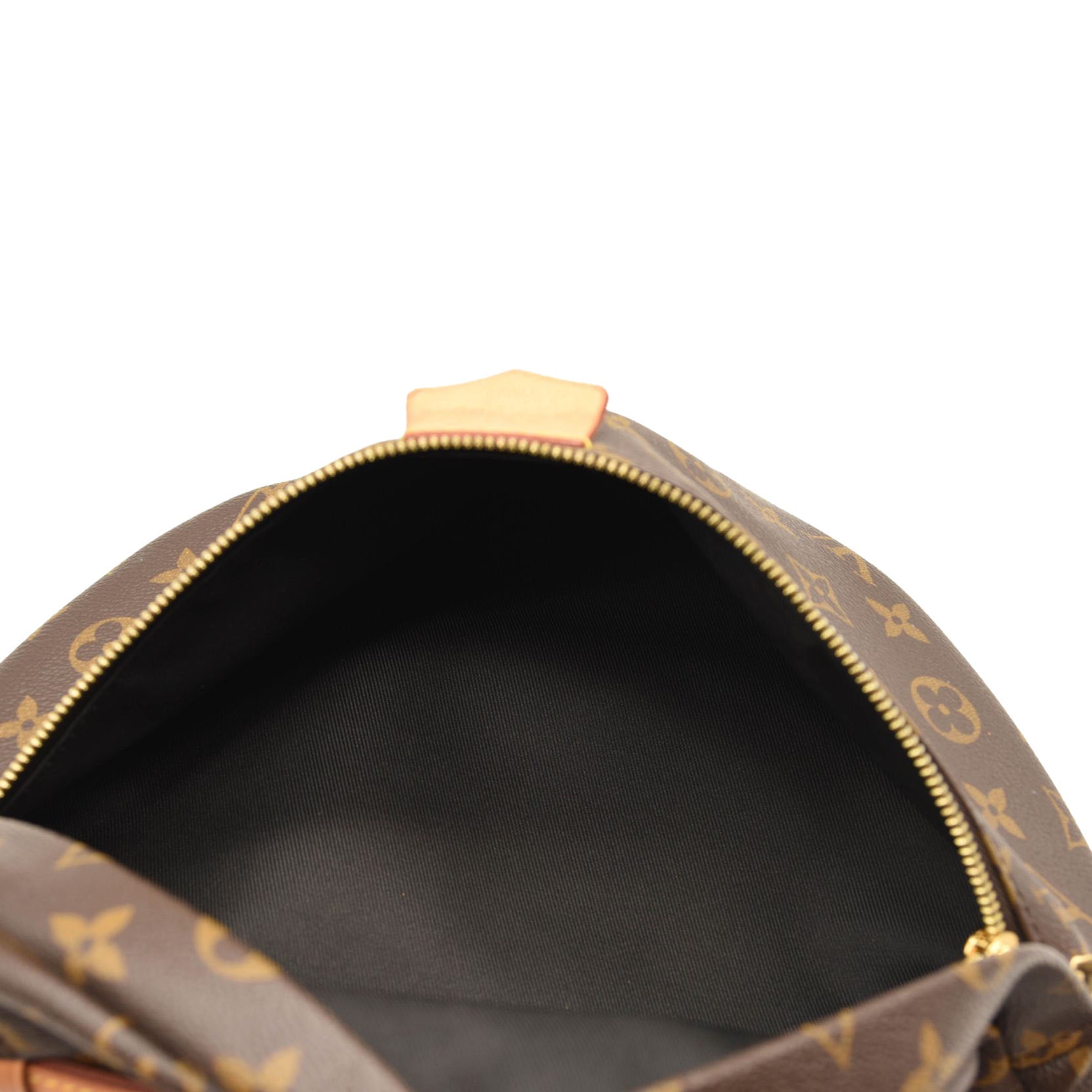 LOUIS VUITTON Monogram Bumbag MICROCHIPPED