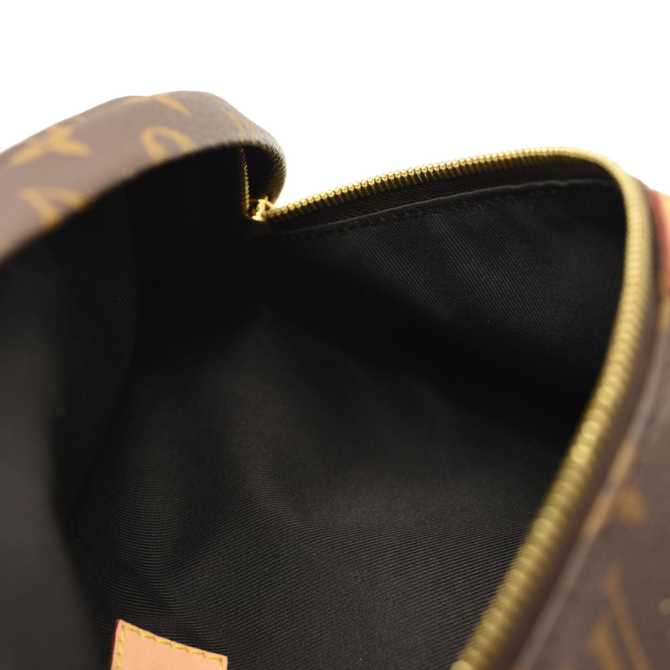 LOUIS VUITTON Monogram Bumbag MICROCHIPPED