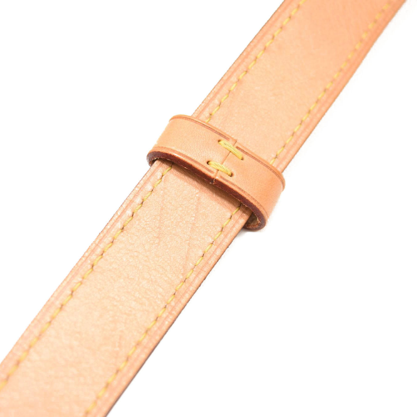 LOUIS VUITTON Monogram Bumbag MICROCHIPPED