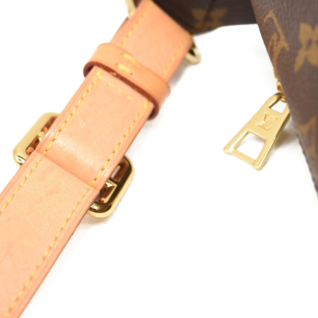 LOUIS VUITTON Monogram Bumbag MICROCHIPPED