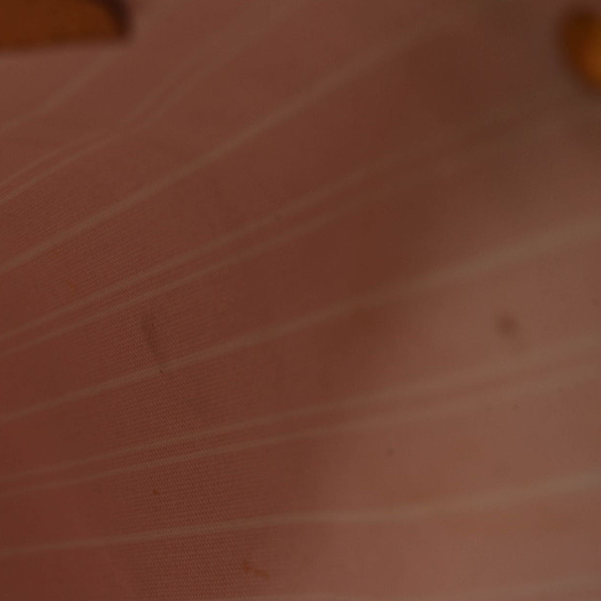 LOUIS VUITTON Monogram Giant By The Pool Neverfull MM Light Pink