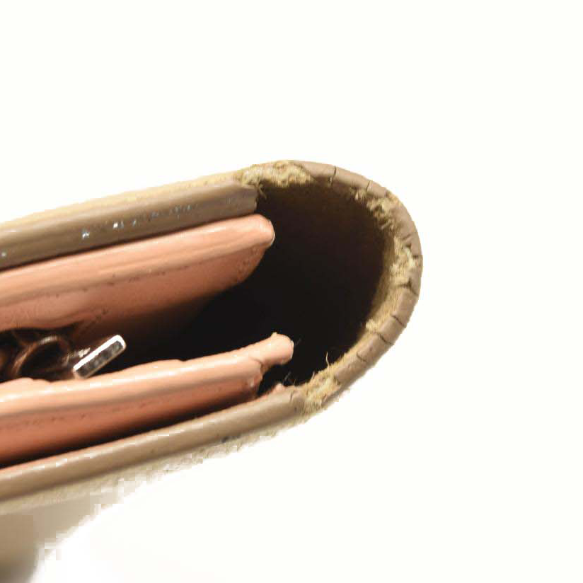 Celine Grained Calfskin Large Multifunction Strap Wallet Pink Chalk