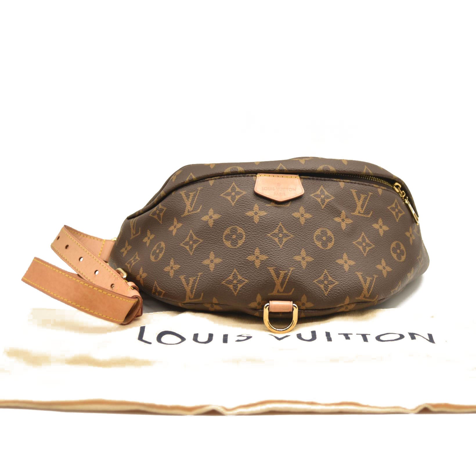 LOUIS VUITTON Monogram Bumbag SA4210