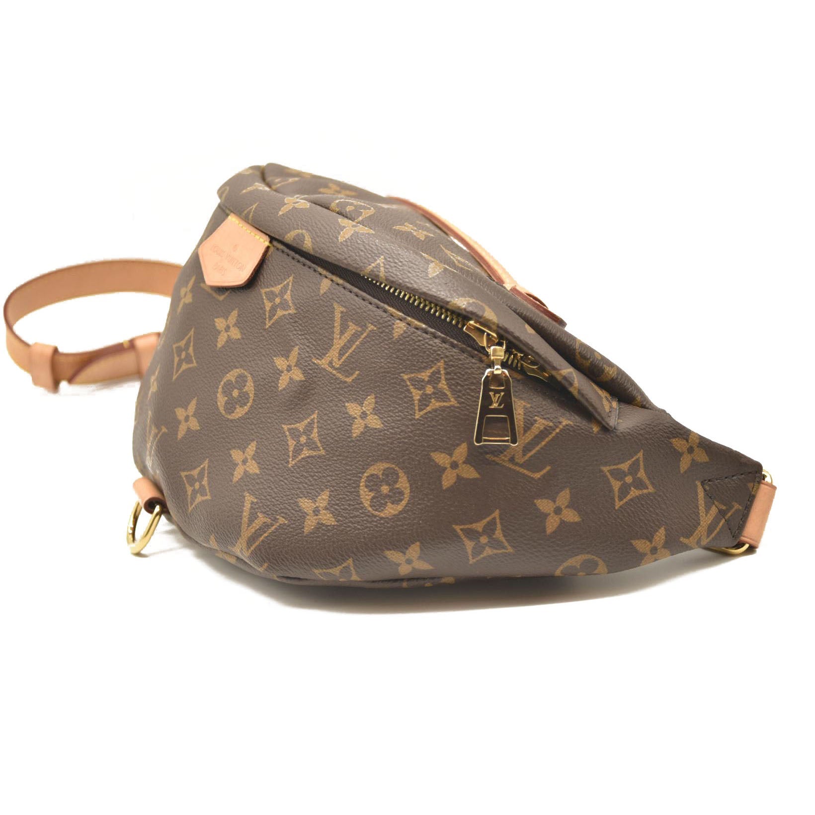 LOUIS VUITTON Monogram Bumbag SA4210