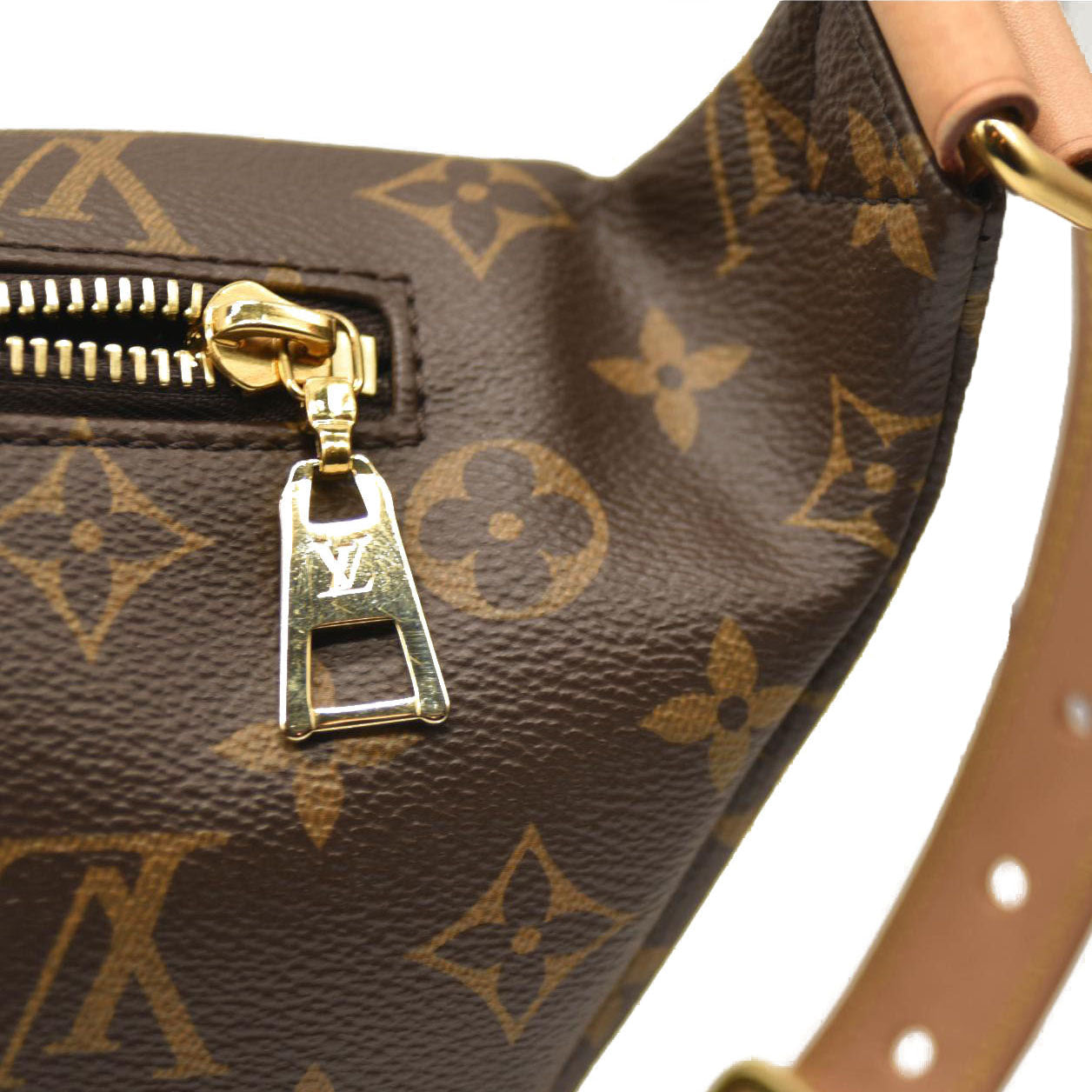 LOUIS VUITTON Monogram Bumbag SA4210