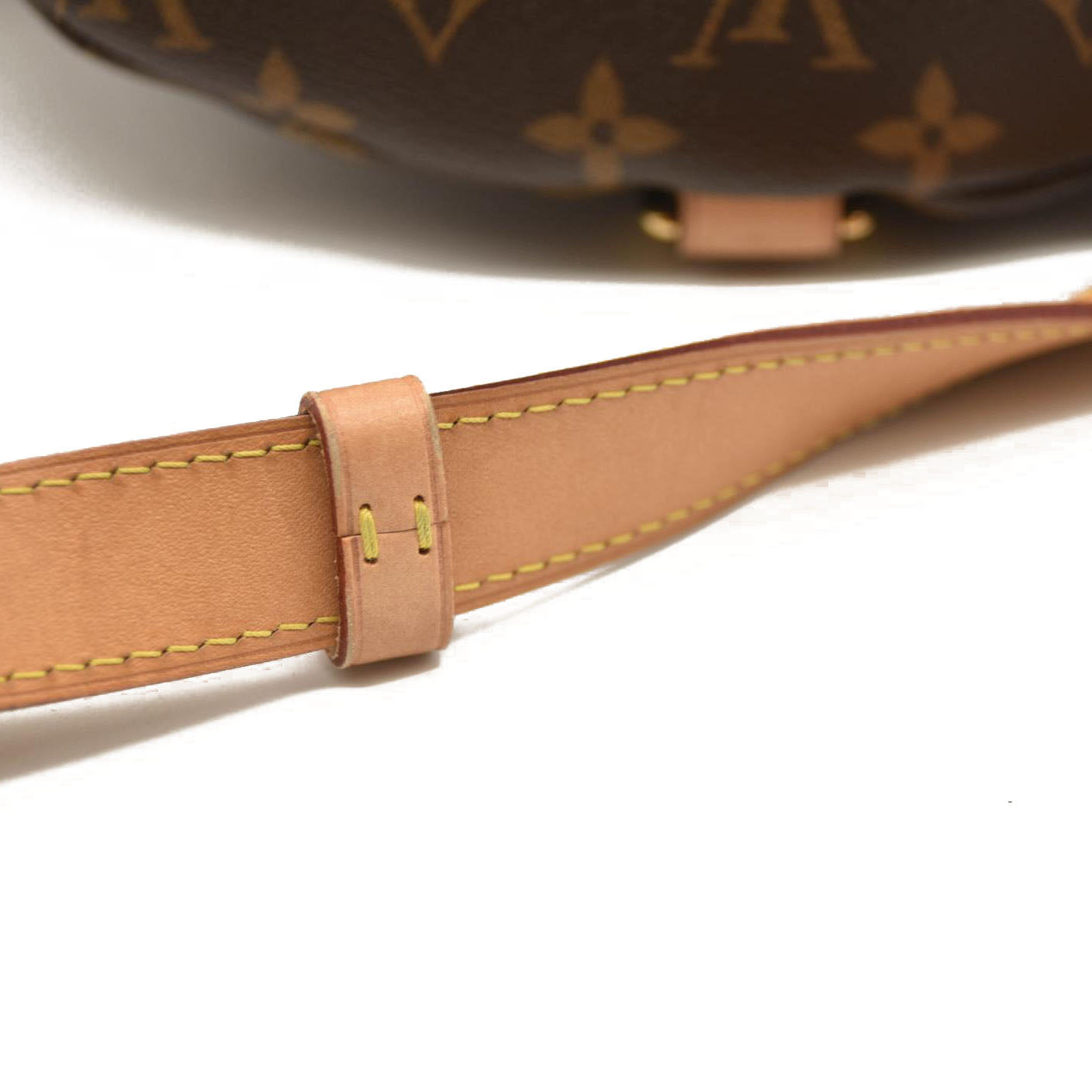 LOUIS VUITTON Monogram Bumbag SA4210