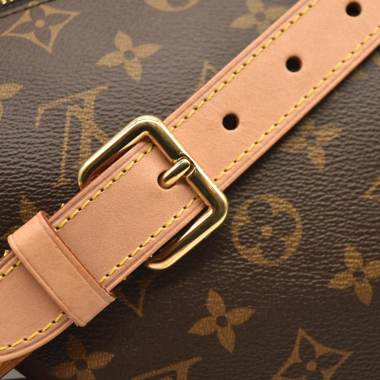 LOUIS VUITTON Monogram Bumbag SA4210