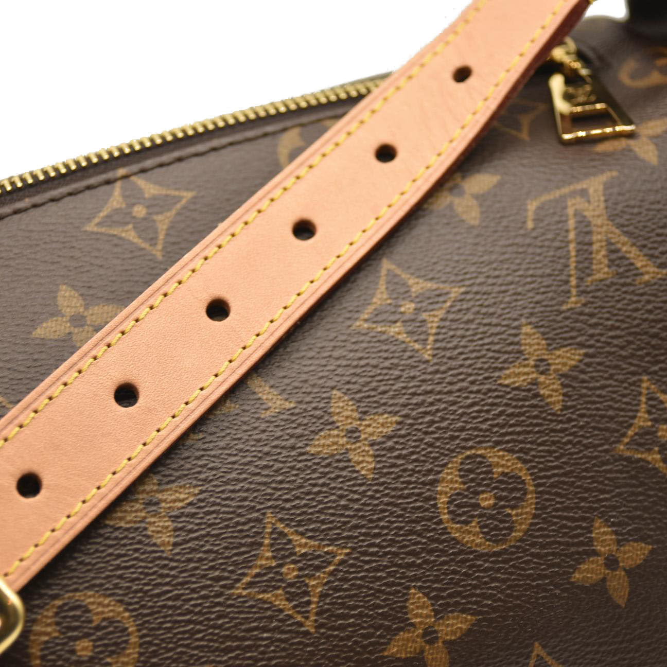 LOUIS VUITTON Monogram Bumbag SA4210