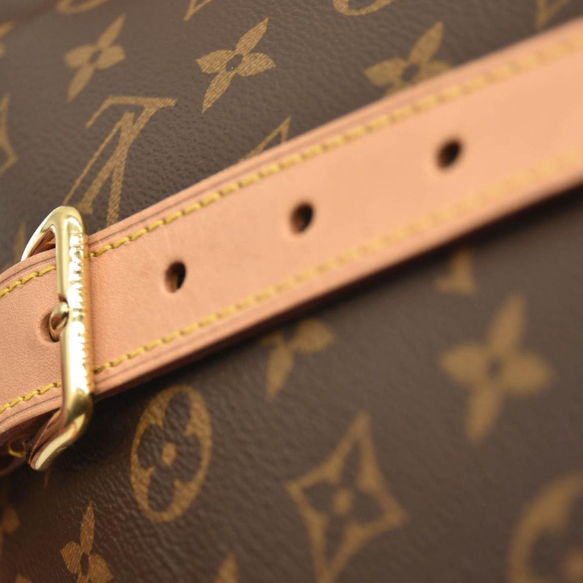 LOUIS VUITTON Monogram Bumbag SA4210