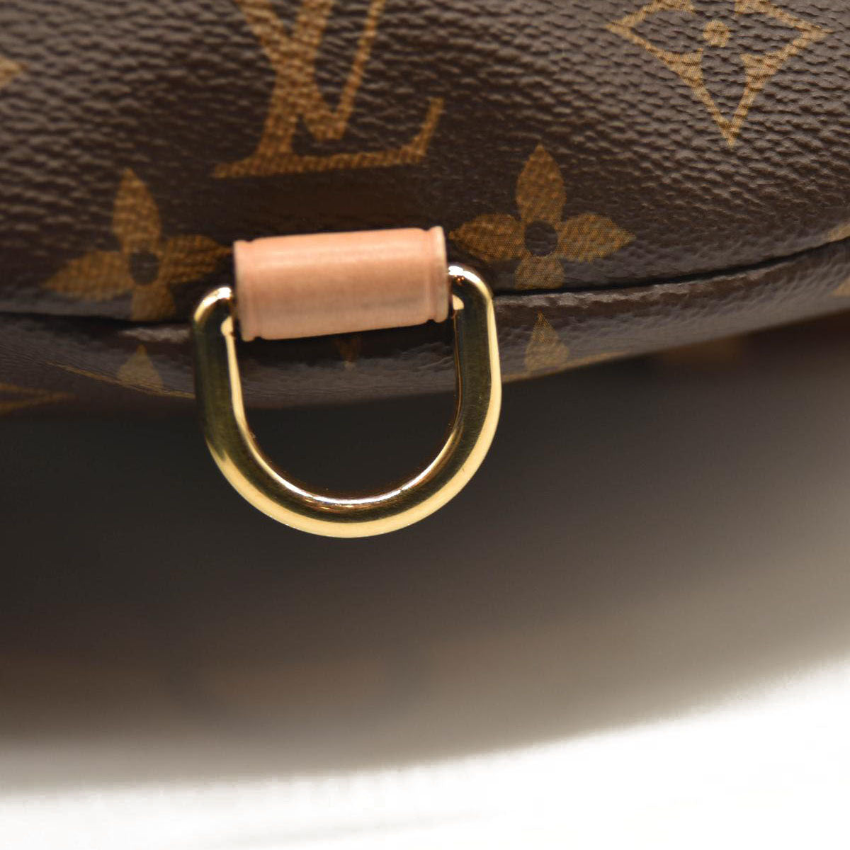LOUIS VUITTON Monogram Bumbag SA4210