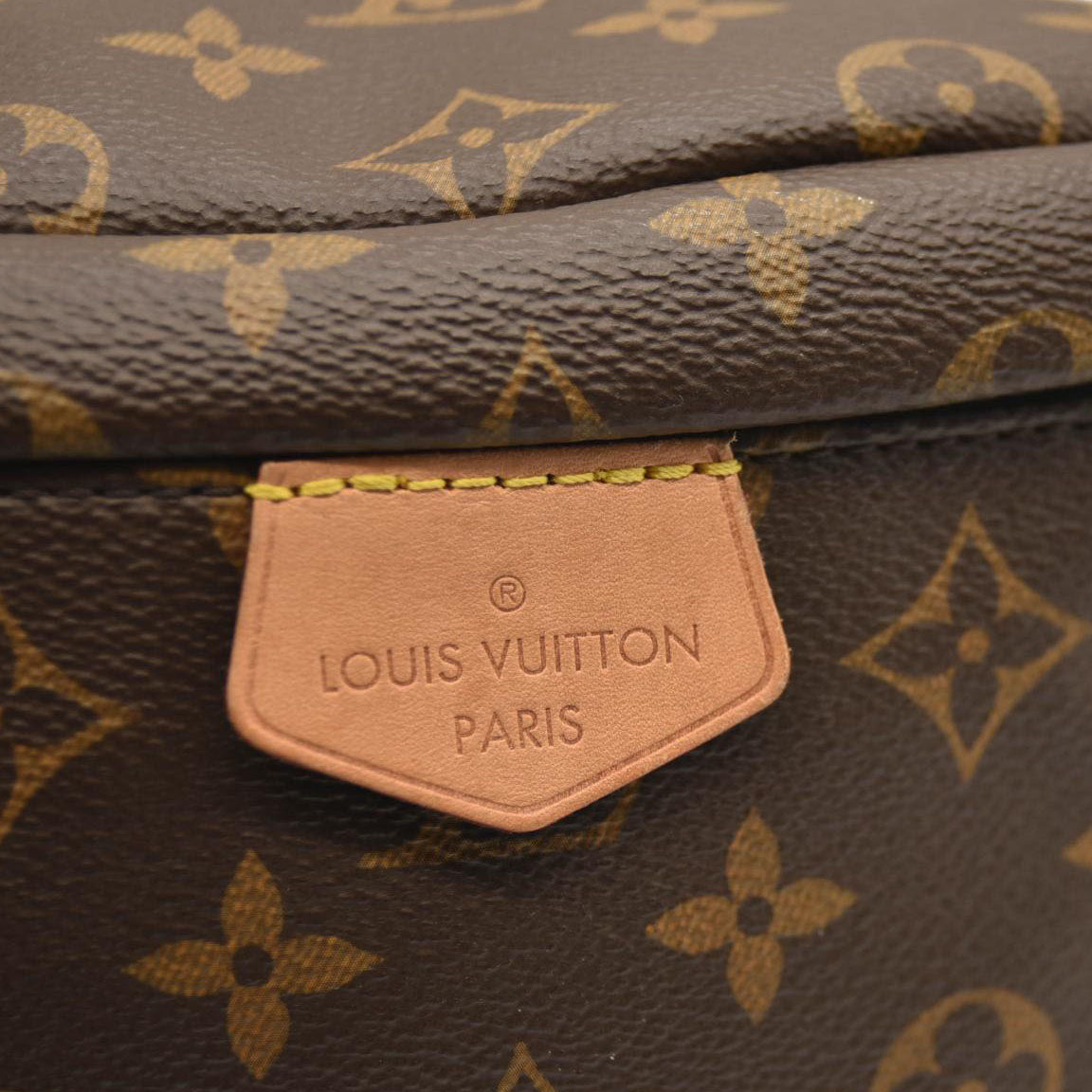 LOUIS VUITTON Monogram Bumbag SA4210