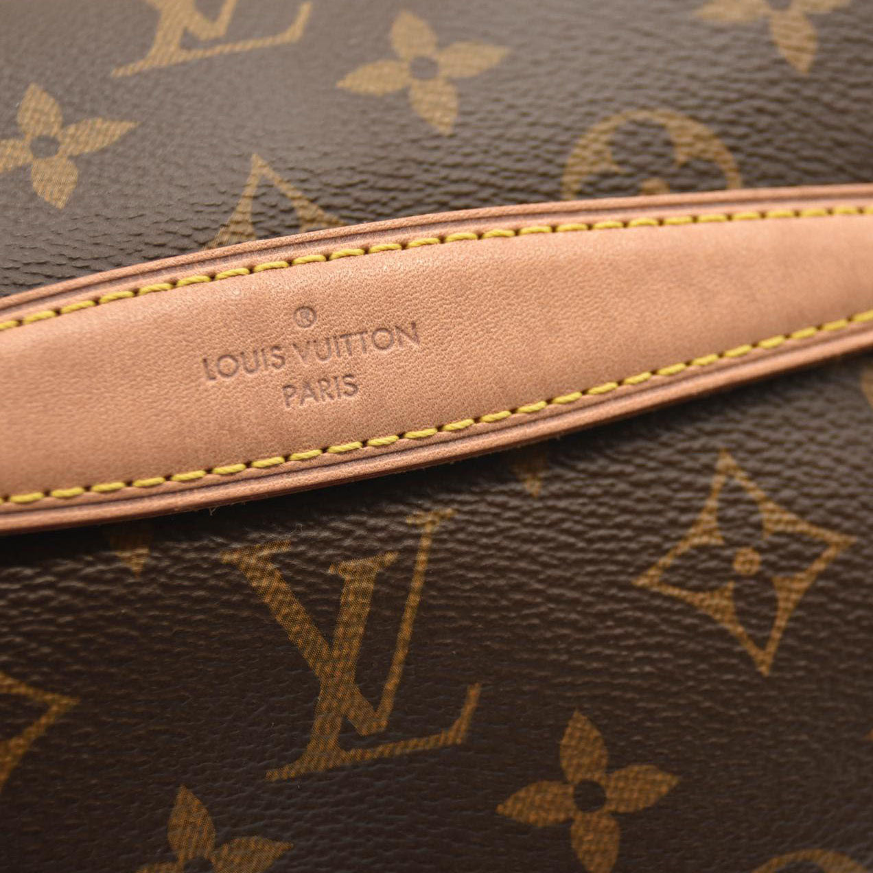 LOUIS VUITTON Monogram Bumbag SA4210