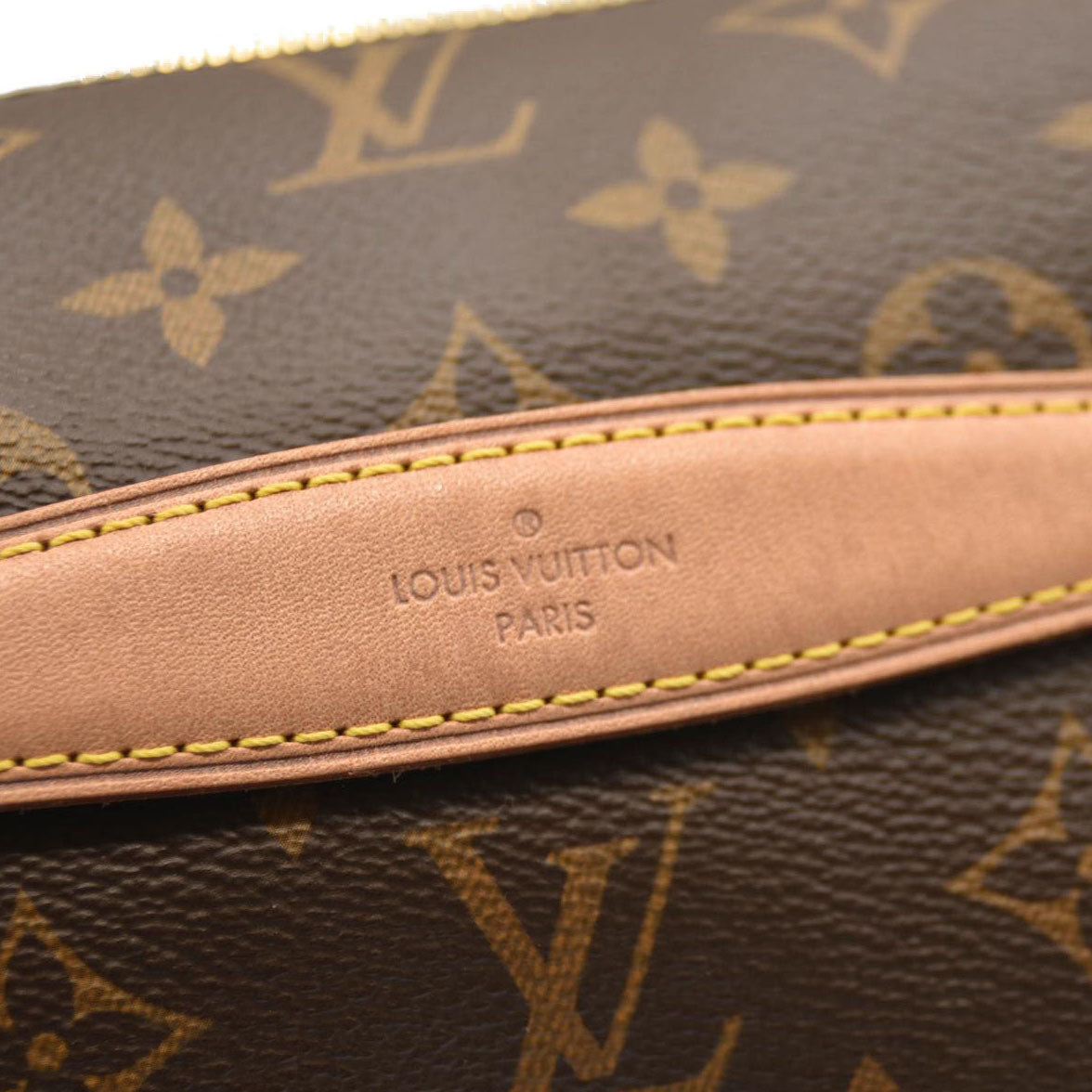 LOUIS VUITTON Monogram Bumbag SA4210