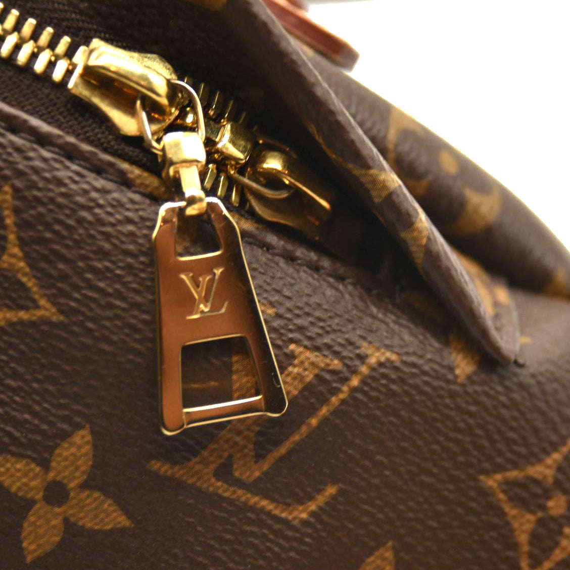 LOUIS VUITTON Monogram Bumbag SA4210