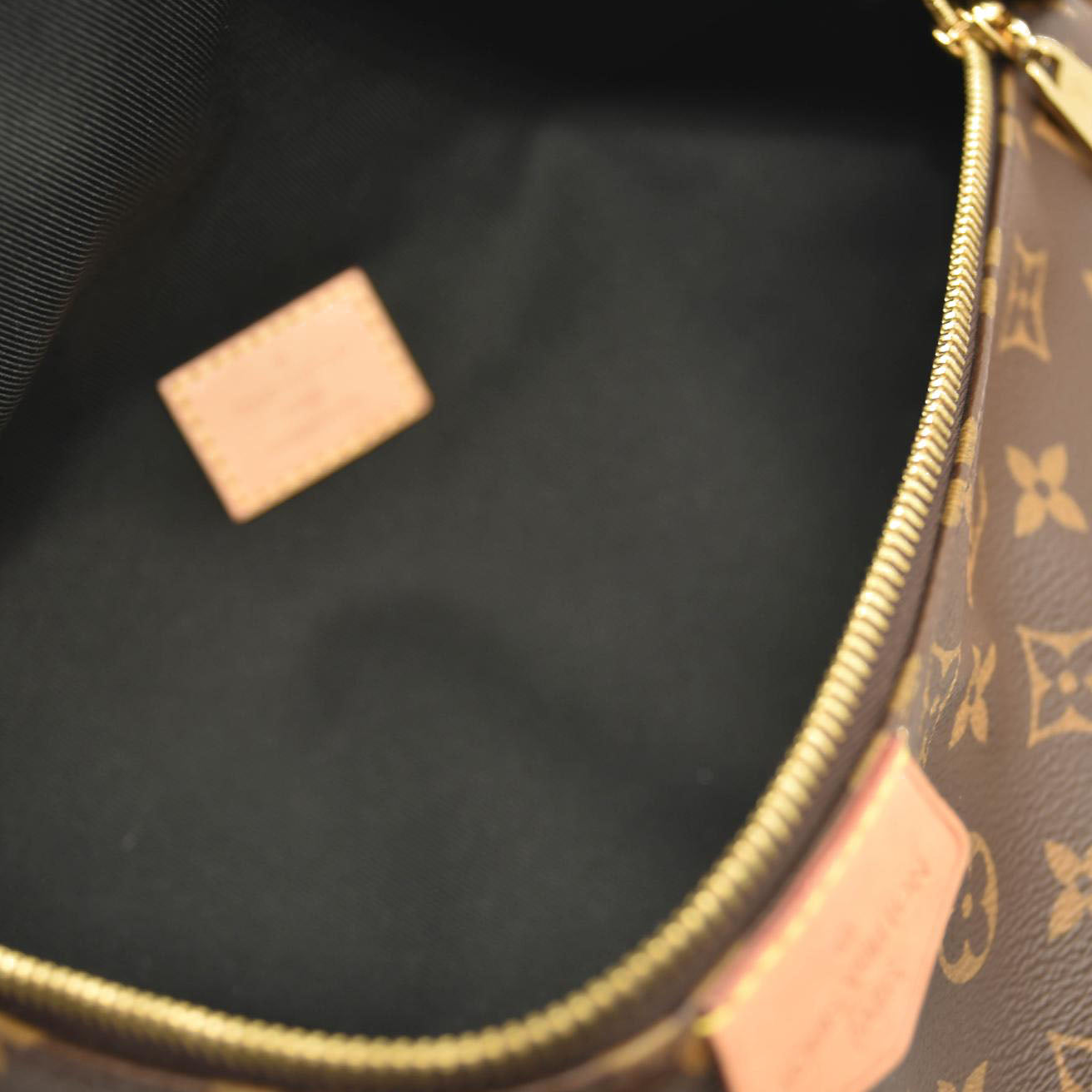 LOUIS VUITTON Monogram Bumbag SA4210