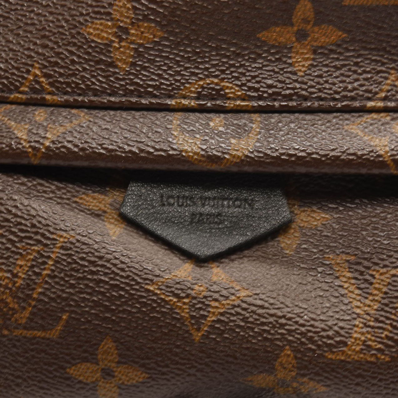 $2440 LOUIS VUITTON Monogram Palm Springs Backpack Mini