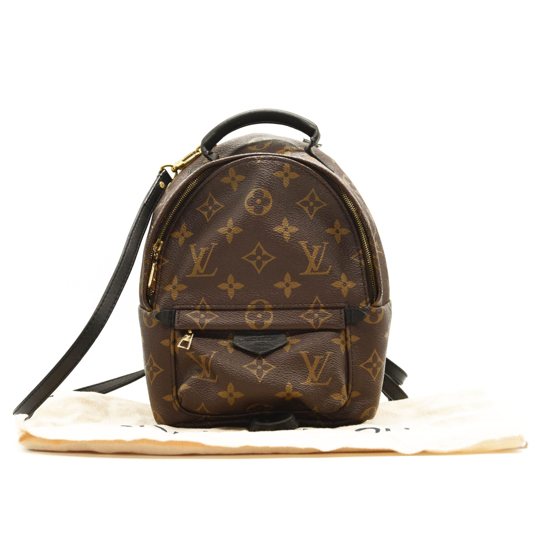 $2440 LOUIS VUITTON Monogram Palm Springs Backpack Mini