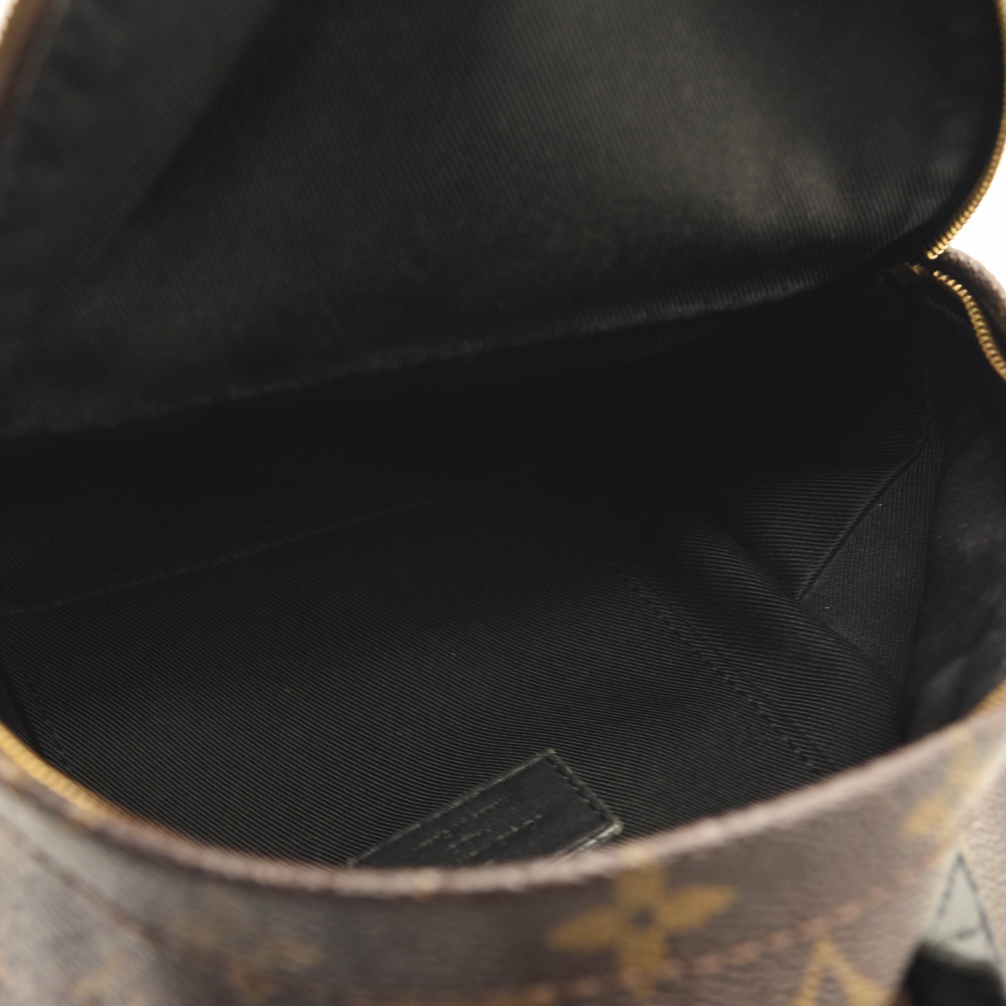 $2440 LOUIS VUITTON Monogram Palm Springs Backpack Mini