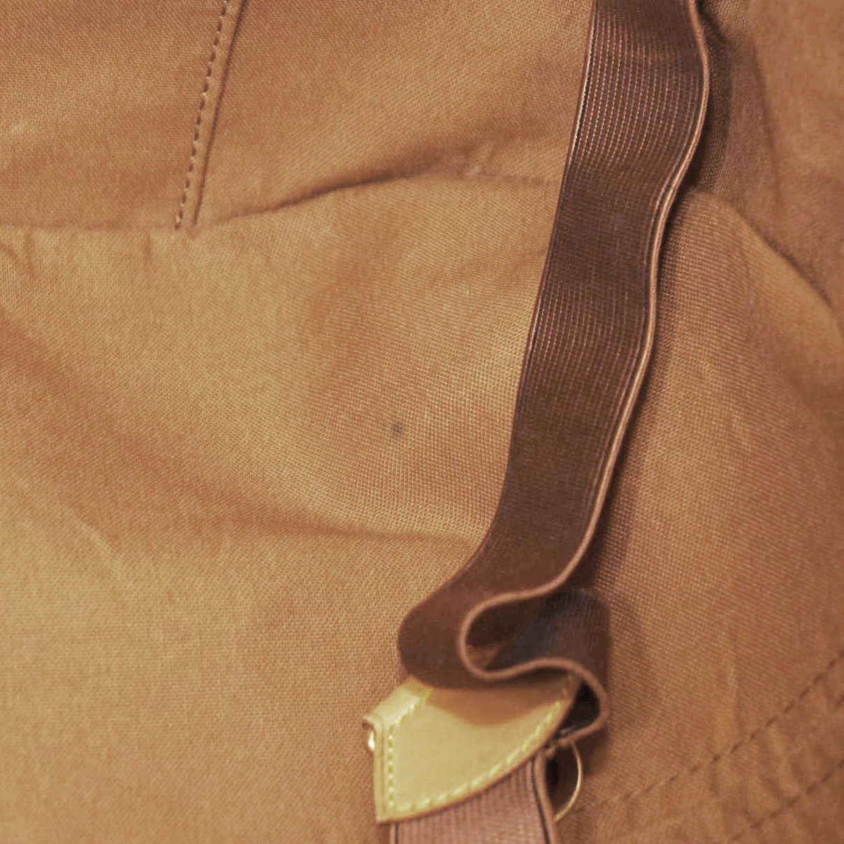 LOUIS VUITTON Monogram Pegase 55 Travel Bag Suitcase